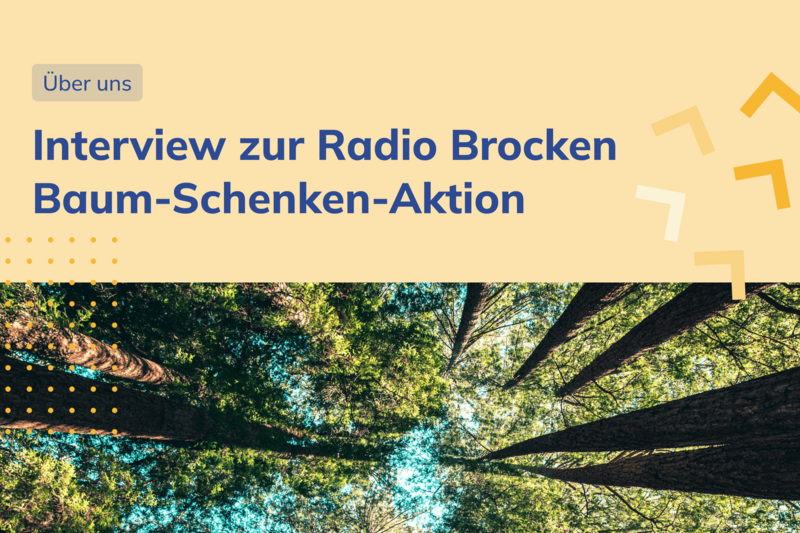 Interviewmitschnitt über unsere Spende an die Radio Brocken Baum-Schenken-Aktion - 5.000 Bäume für den Harz