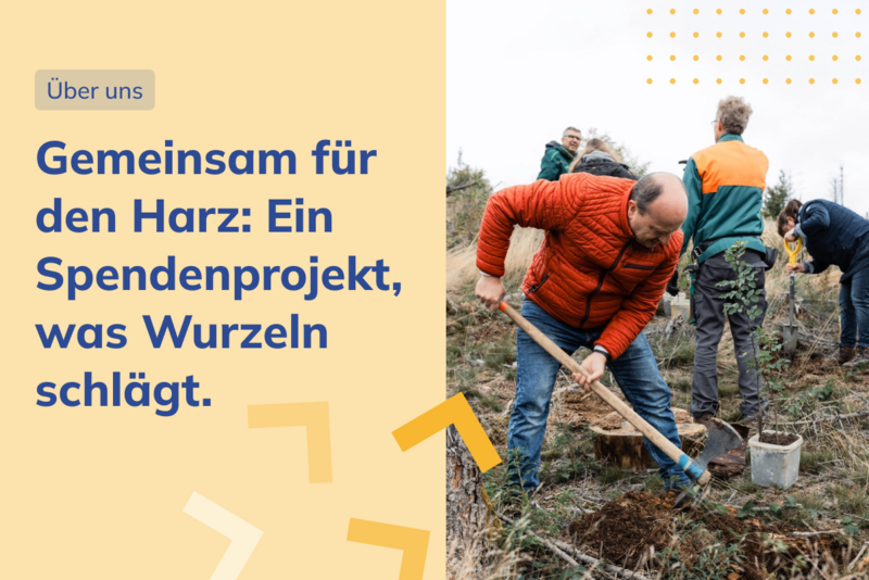 Mehrere Personen pflanzen junge Bäume in einem kahlen Wald im Harz, eine Person gräbt mit einer Hacke ein Loch in der Erde, Text: "Gemeinsam für den Harz: Ein Spendenprojekt, was Wurzeln schlägt.".