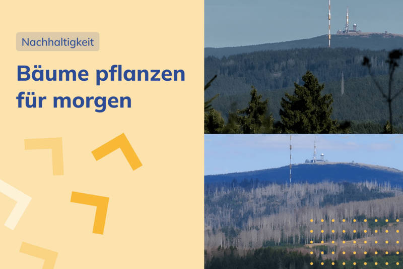 Unsere Spende für die Unterstützung des Harz 