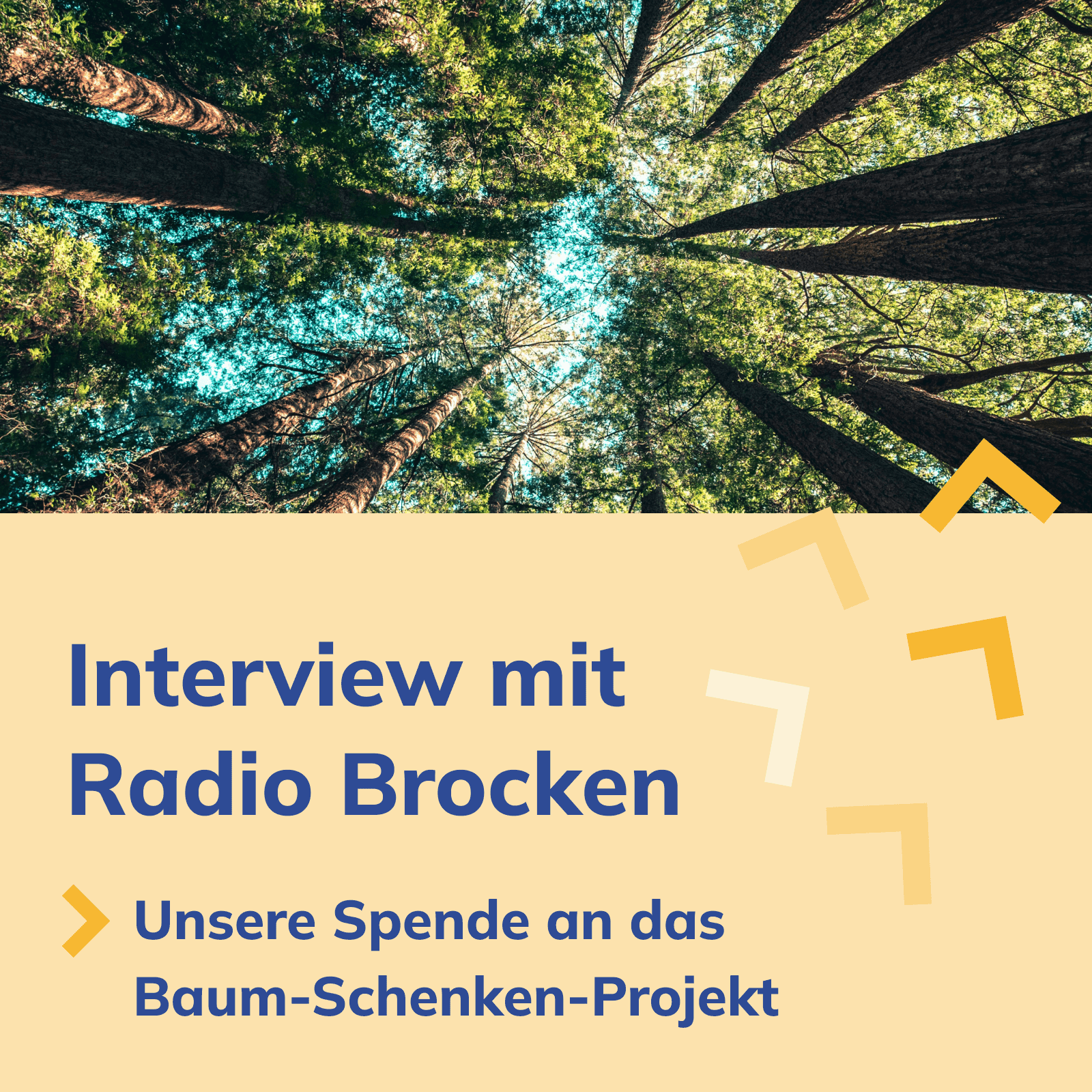 Interviewmitschnitt über unsere Spende an die Radio Brocken Baum-Schenken-Aktion - 5.000 Bäume für den Harz